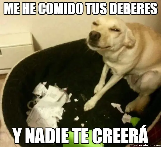 imagenes