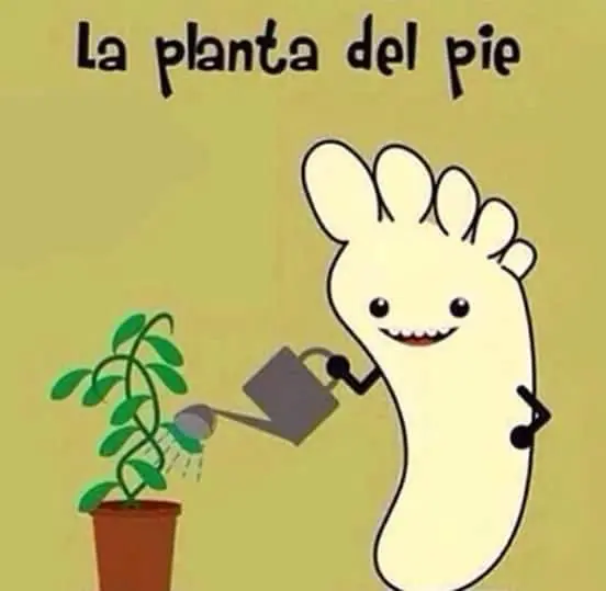 Imágenes de mi colección