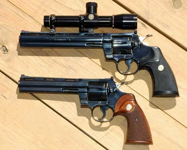 pistola