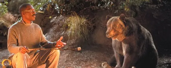 Est Oso estuvo durante añs atrapada en un chaleco de tortura