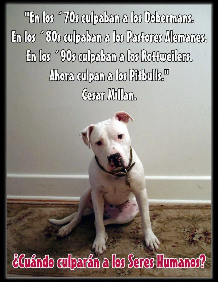 Humor de Viernes