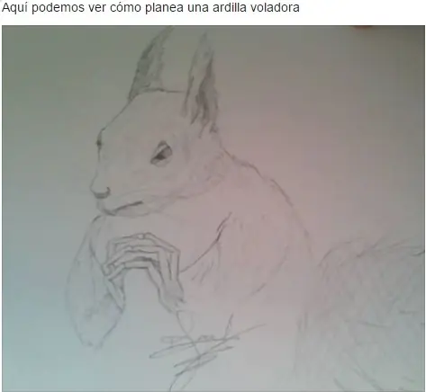 imagenes divertidas