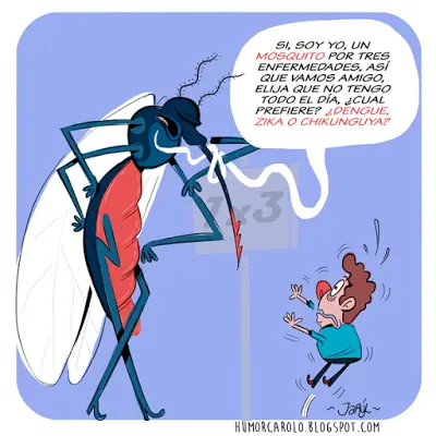 imagenes divertidas