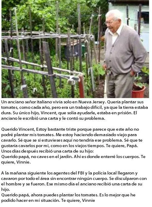 humor de viernes