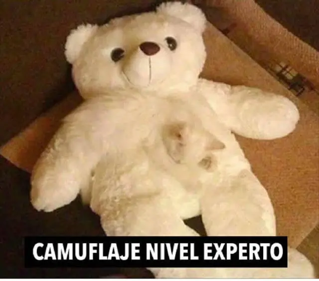 Humor Grafico 24/03