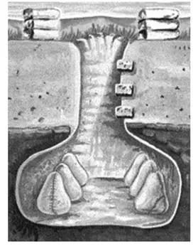 Perú madre patria de America