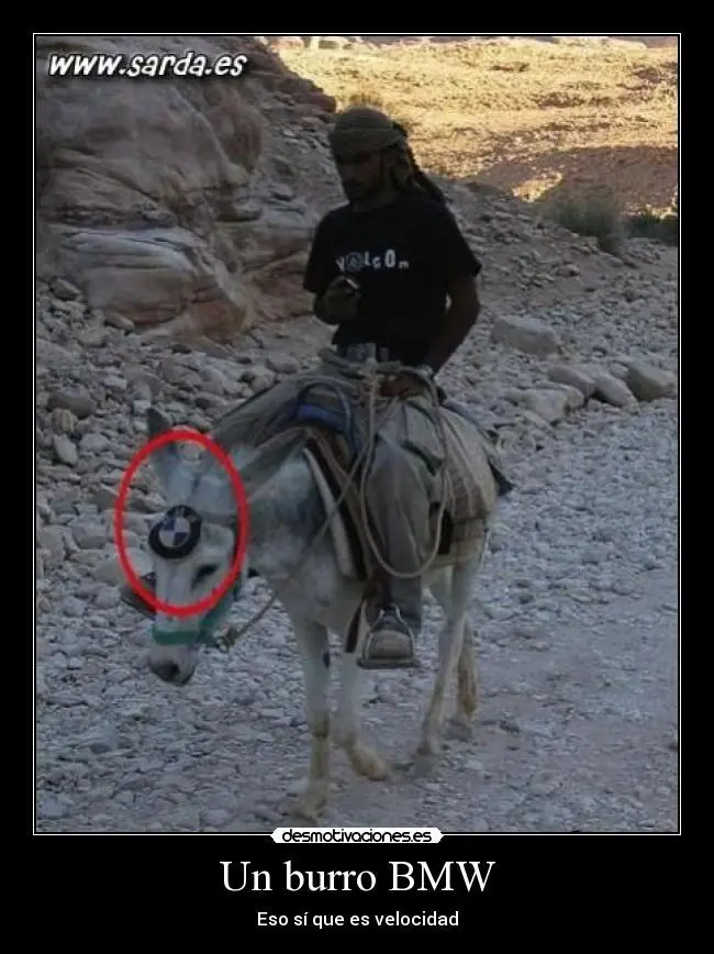 humor grafico