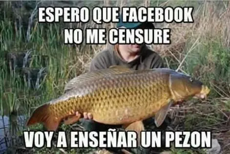 imagenes
