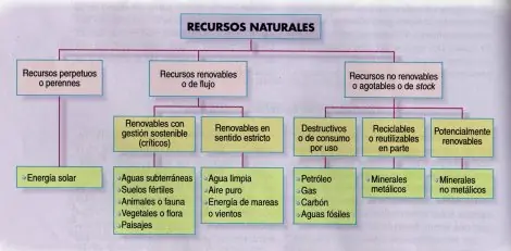 razonamiento razonamiento