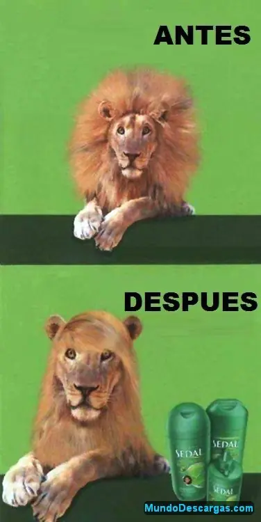 Humor variado 3