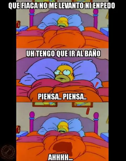 imagenes imagenes