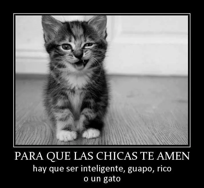 pasa y reite
