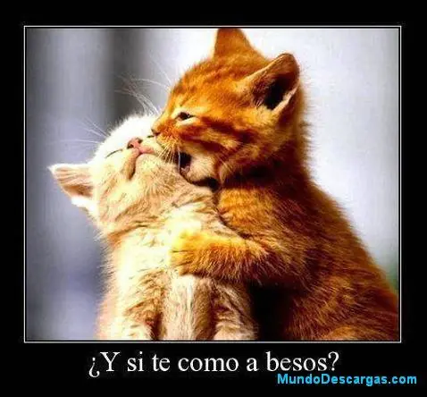 Humor variado 3