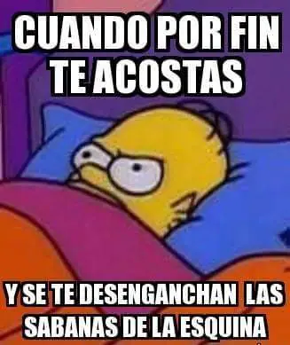 fotos fotos