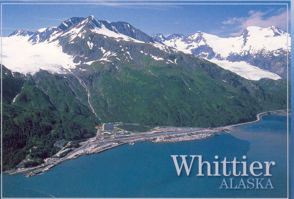 Miles de pájaros aparecen muertos en costas de Alaska