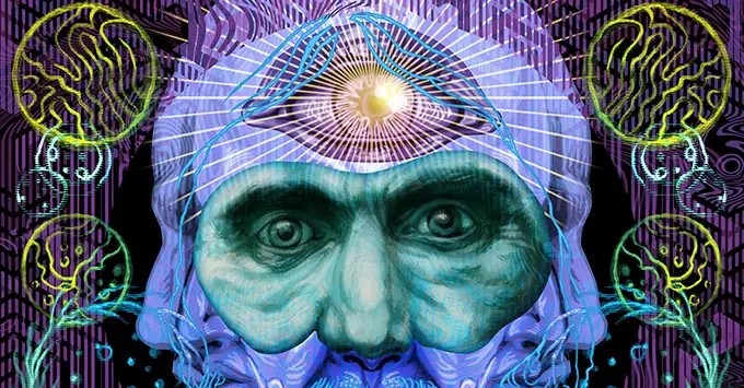 Los árboles de naranja y limón contienen DMT