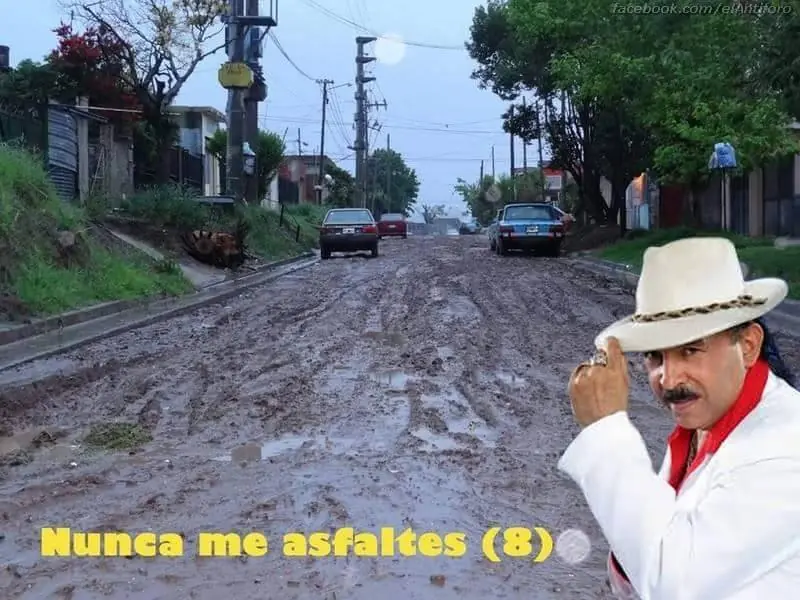 Imagenes de humor para linces que no duermen por la noche