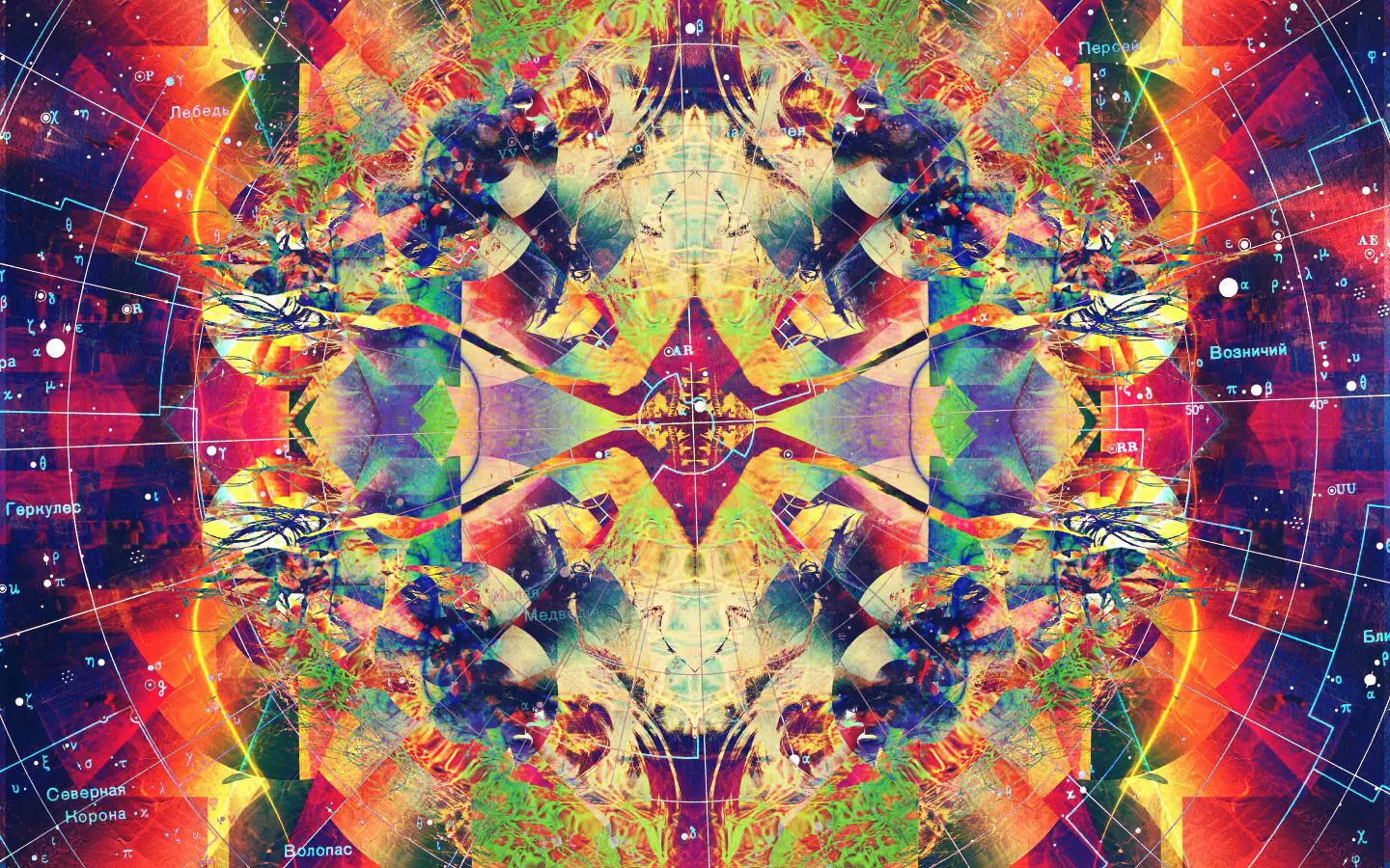 Los árboles de naranja y limón contienen DMT