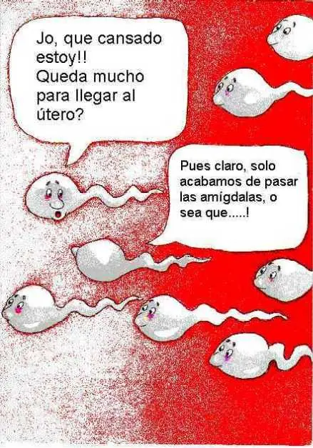 sex