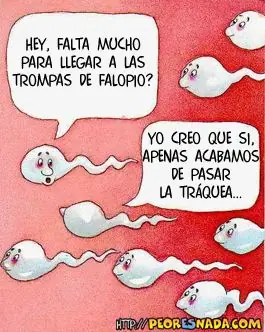 Humor grafico 5 especial sex