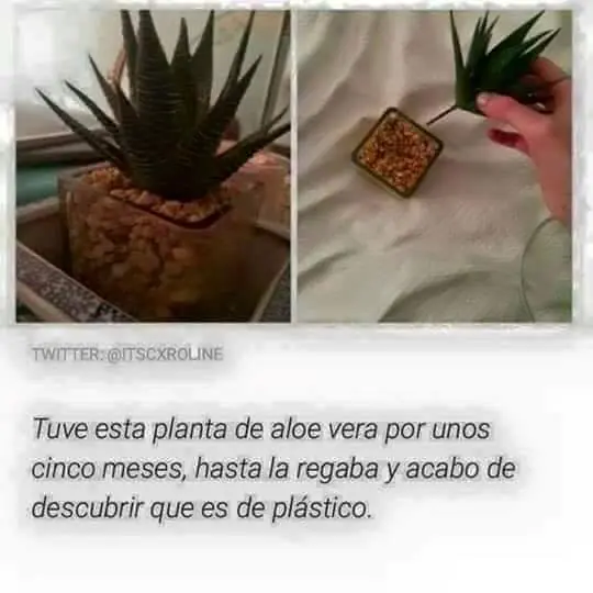 imagenes