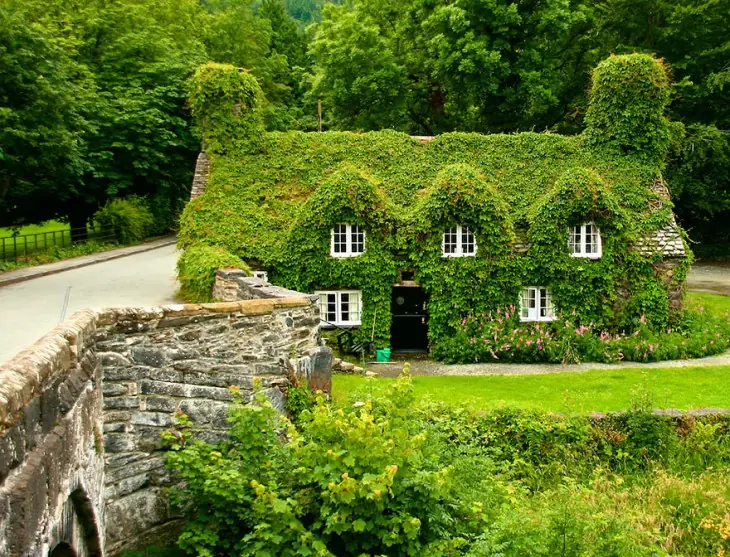 12 Hermosas Transformaciones De Otoño