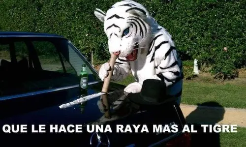 humor