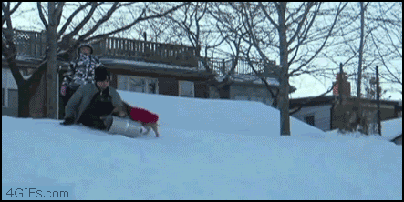 Gifs