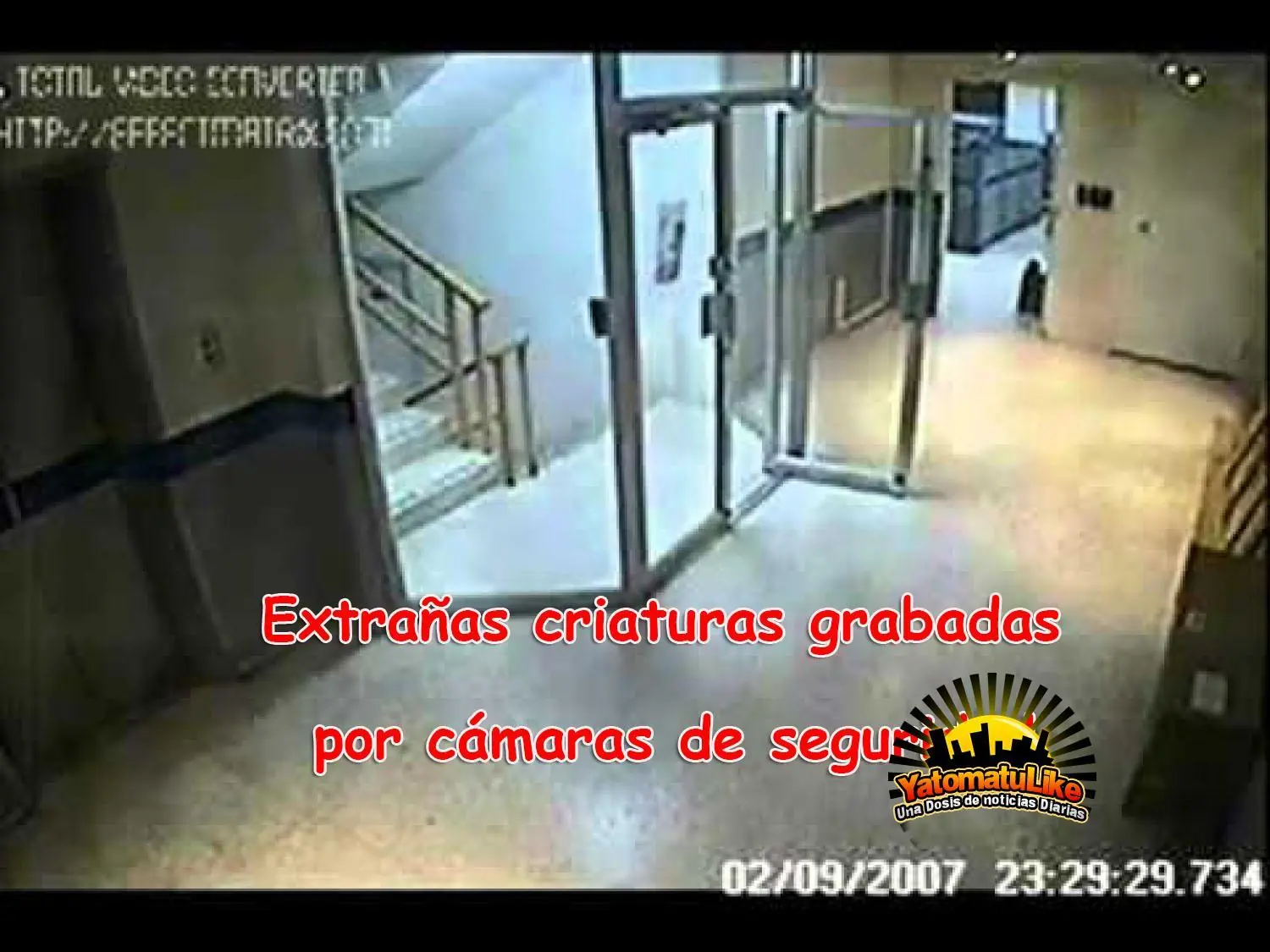 Seres extraños grabados por cámara de seguridad