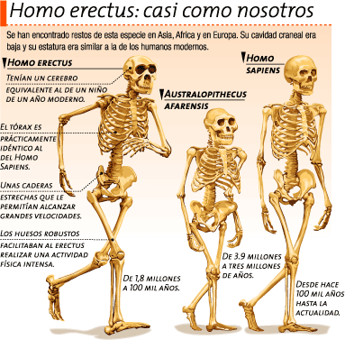 gg