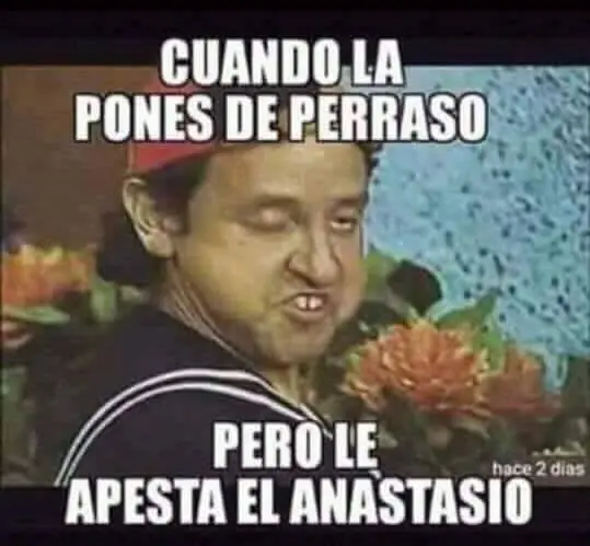 grafico