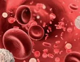 Los secretos magicos de la sangre