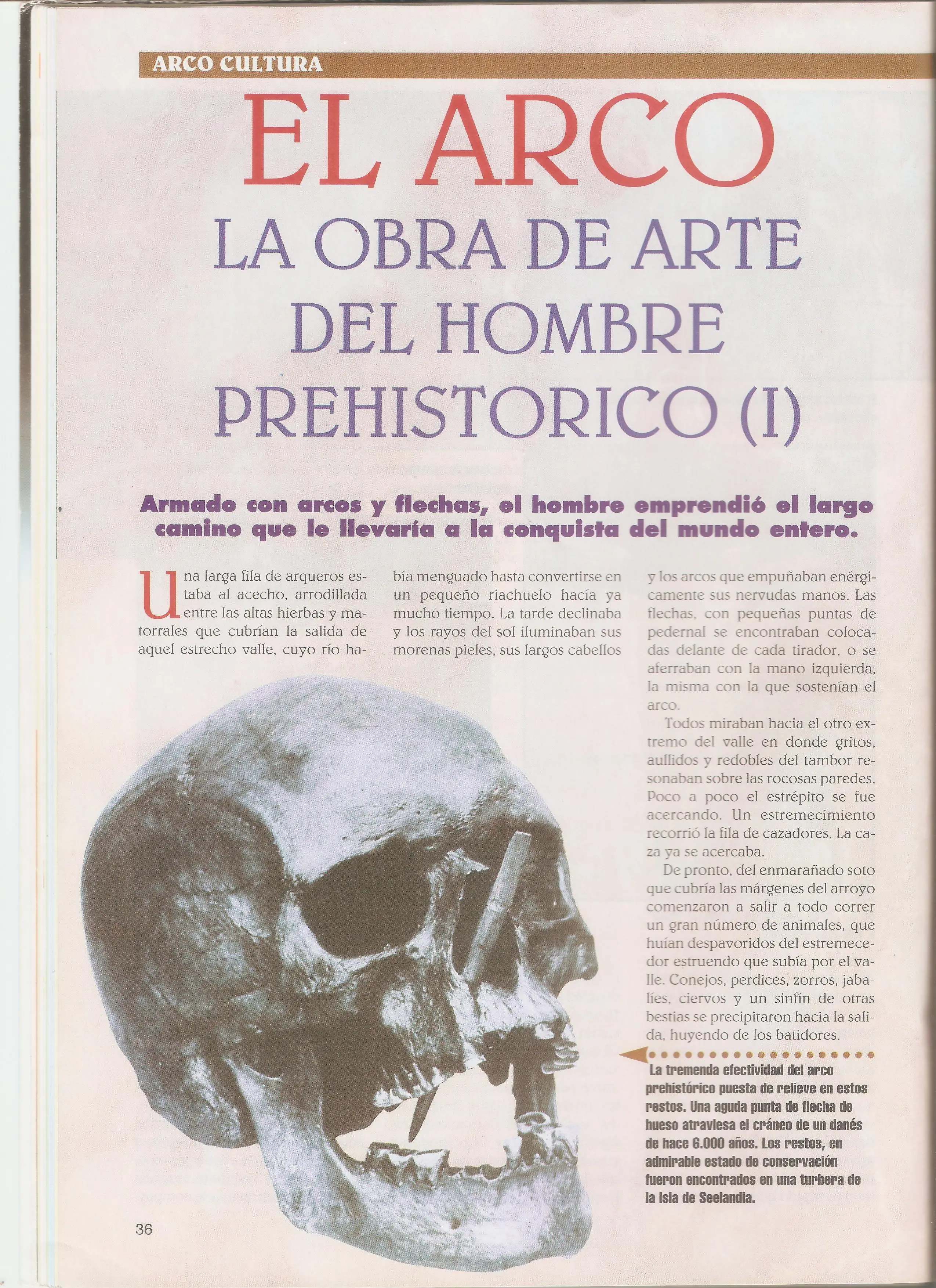 arqueria