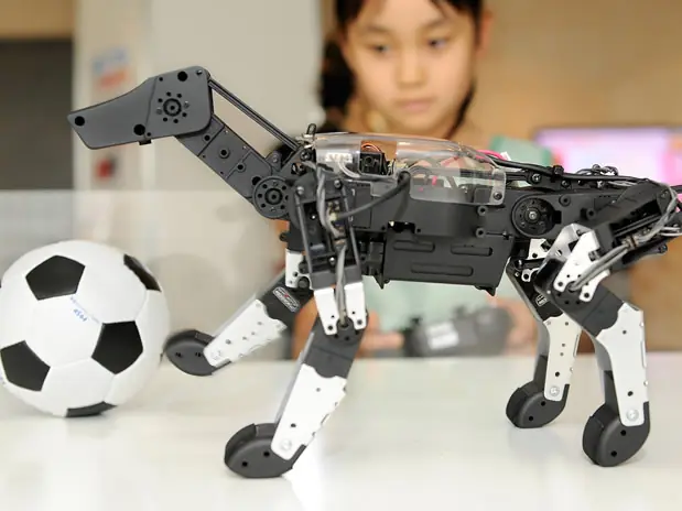 Robots Robots