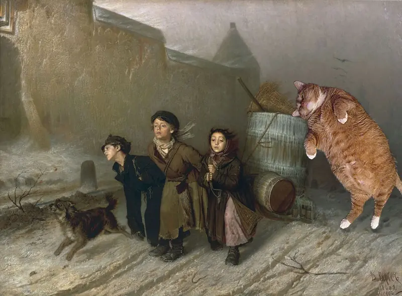 gato