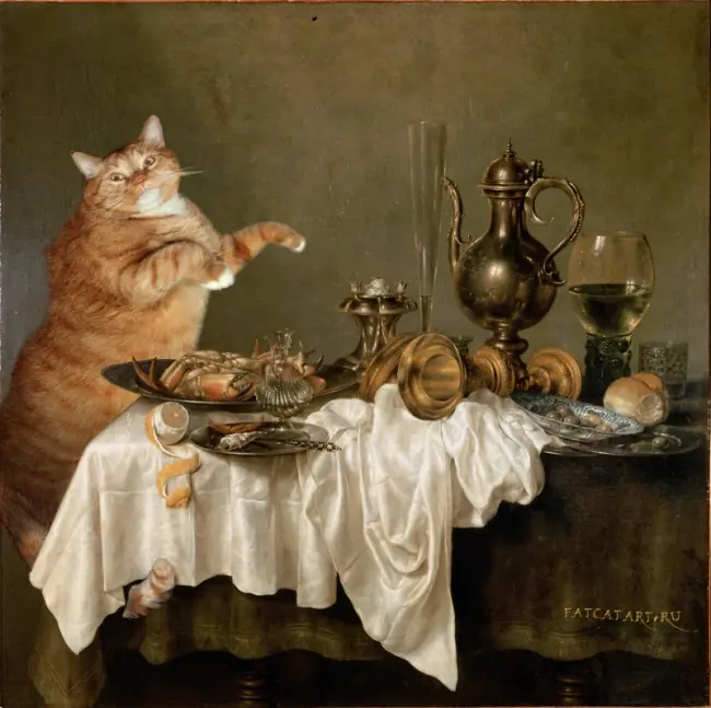gato