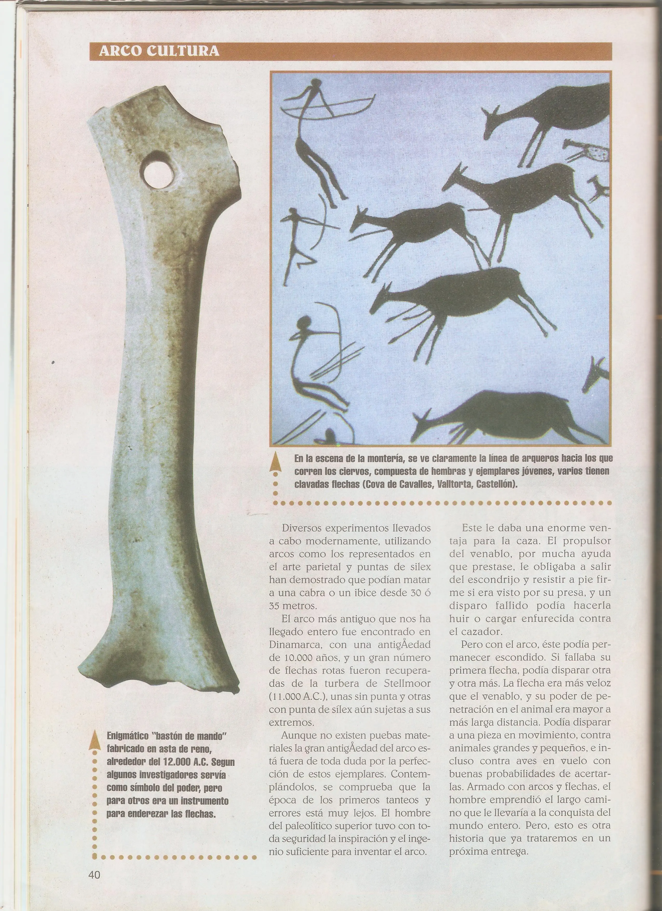 revista