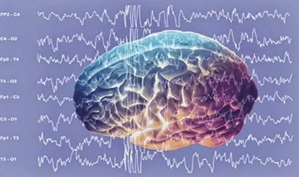 19 cosas que no sabías del Cerebro Humano o Desconocias