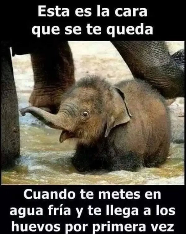 imagenes
