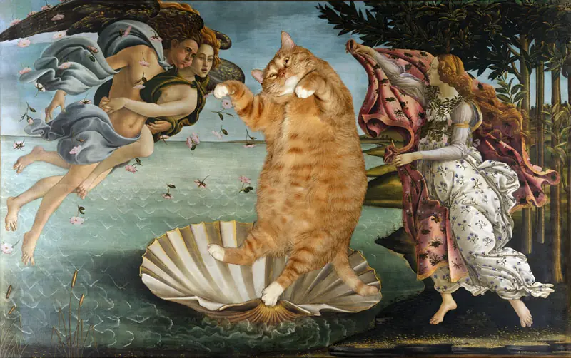 Solo agrega a un gato gordo...