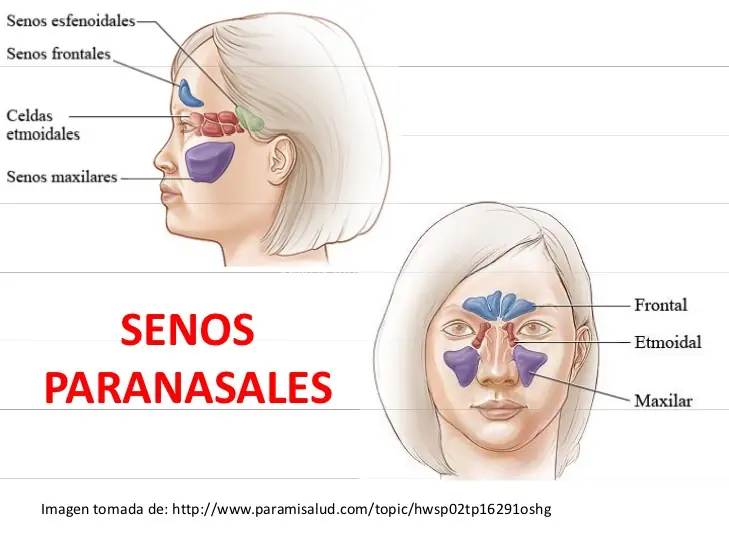 inutiles