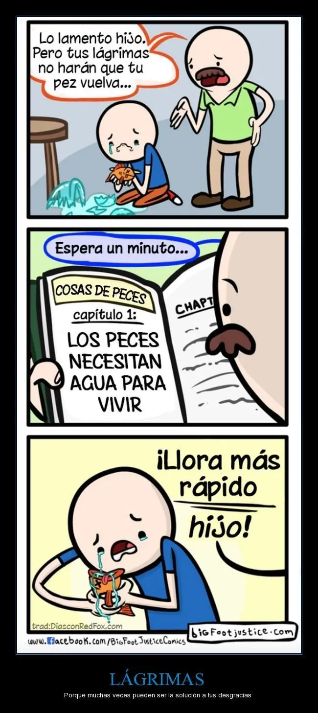 humor humor