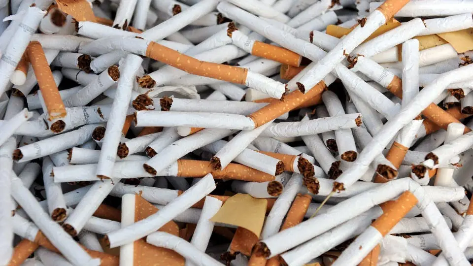 Día Mundial sin Tabaco.