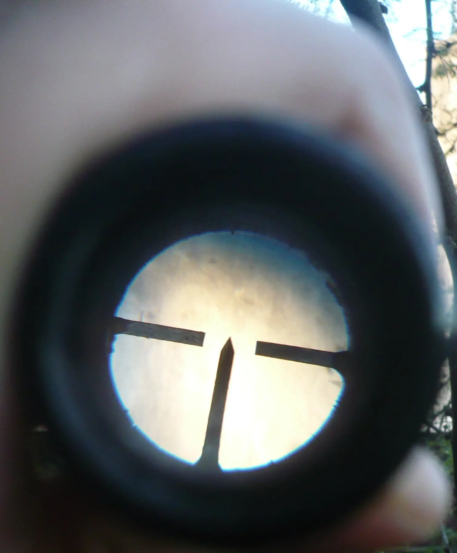 Rompí mi mira de Sniper y mirá lo que hice
