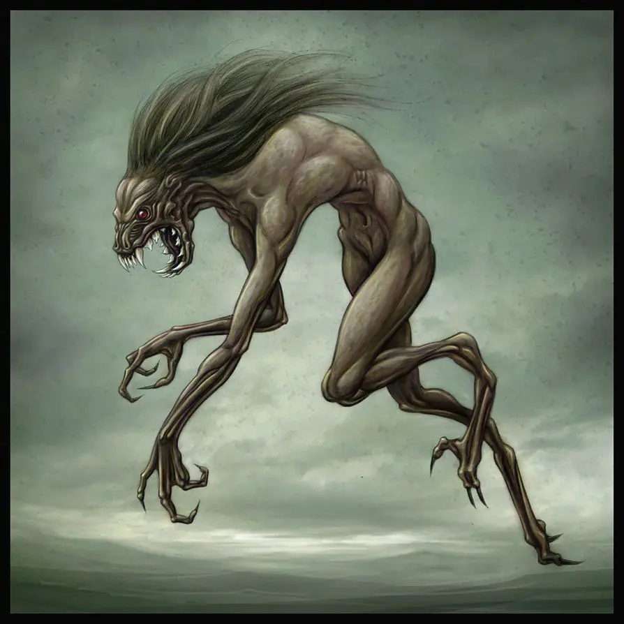 Ilustraciones Ilustraciones