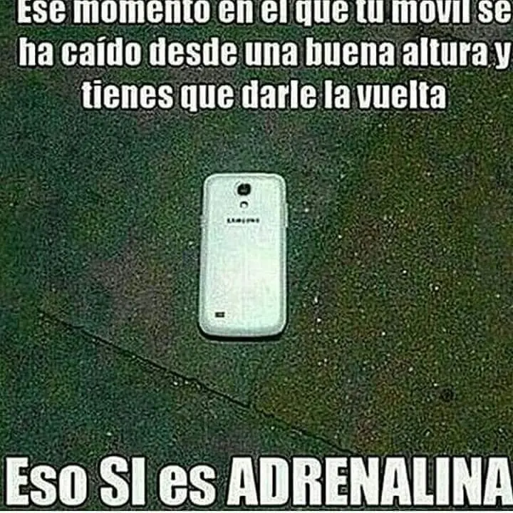 Imagenes de humor para linces que no duermen por la noche
