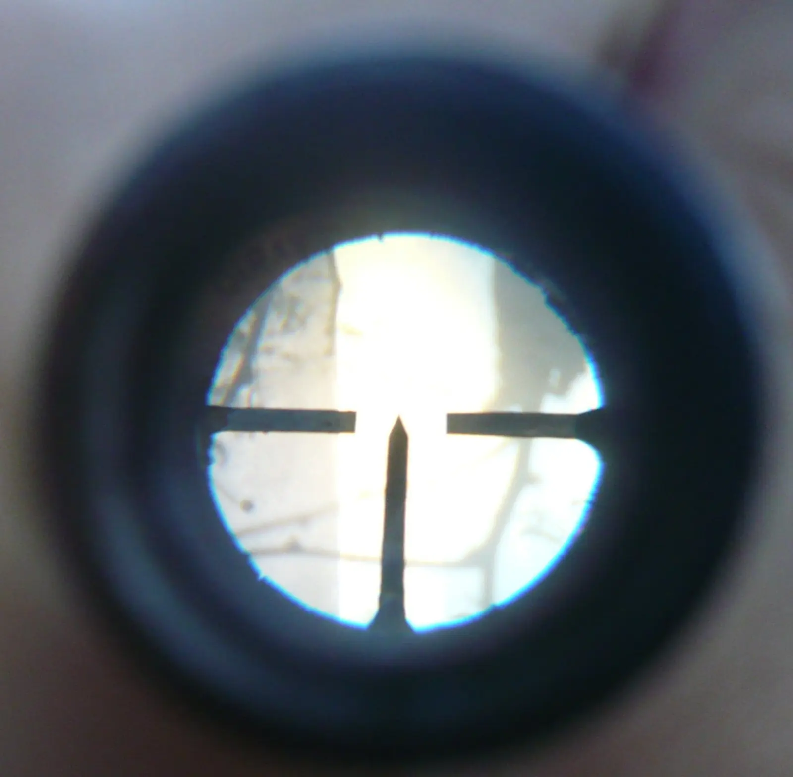 mira optica