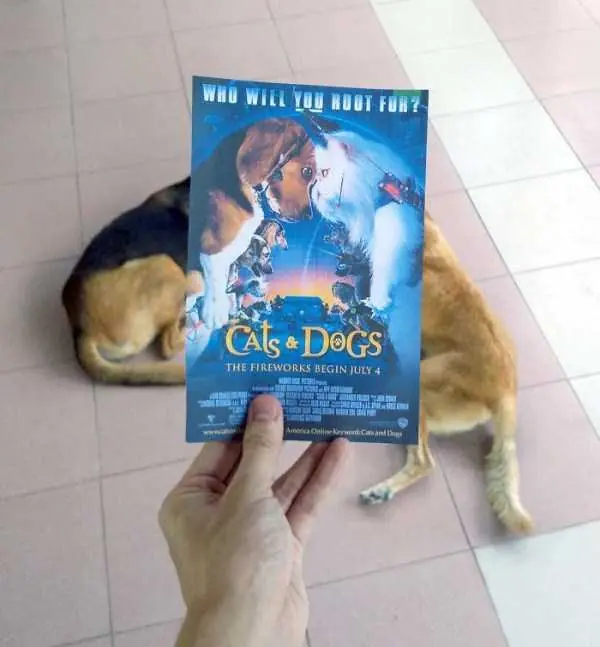 peliculas