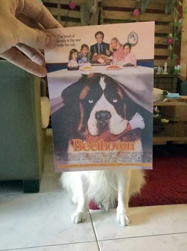 humor