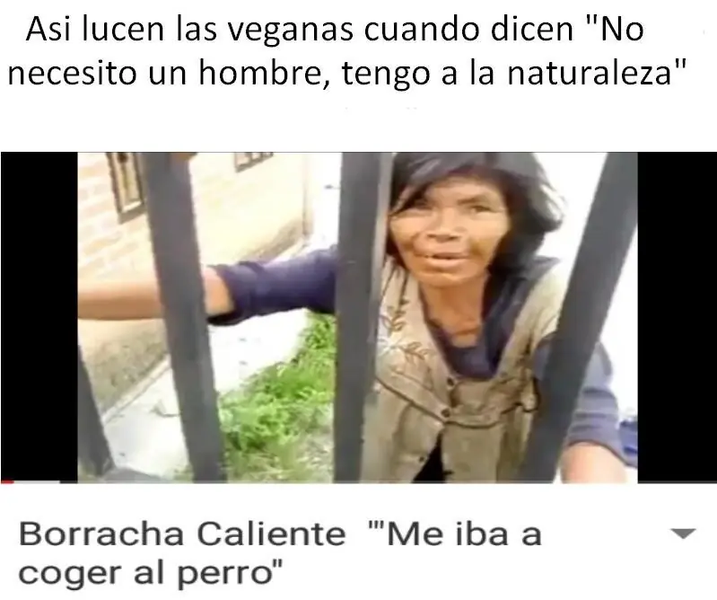meme ironico